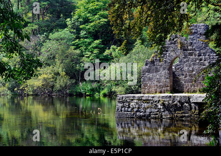 Ruinen der Mönche Fischen Haus oder Fishhouse auf einer Insel im Fluss Cong & Teil von Cong Abbey, Cong, County Mayo, Irland Stockfoto
