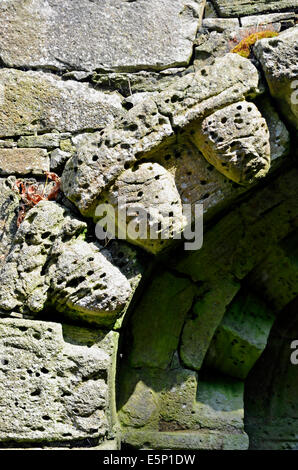 Detail der geschnitzte Köpfe, 13. Jahrhundert Kirche der Heiligen Ruinen auf Inchagoill Insel, Lough Corrib, Irland Stockfoto