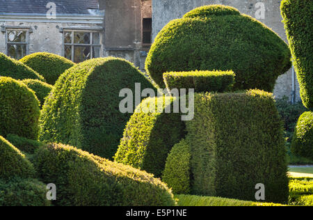 Levens Hall, Cumbria, UK. Eine späte 16c Herrenhaus berühmt für seine exzentrischen topiary Garten im Besitz der Familie Bagot Stockfoto