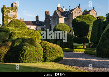 Levens Hall, Cumbria, UK. Eine späte 16c Herrenhaus berühmt für seine exzentrischen topiary Garten im Besitz der Familie Bagot Stockfoto