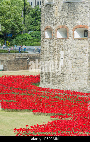 London, UK. 4. August 2014. Blut Mehrfrequenzdarstellung Länder und Meere von Red von Paul Cummins. Last-Minute Vorbereitungen vor der offiziellen Eröffnung morgen. Keramik Mohn bilden ein Kunstwerk im Graben der Tower of London anlässlich die Hundertjahrfeier des ersten Weltkrieges. 4. August 2014. Bildnachweis: Guy Bell/Alamy Live-Nachrichten Stockfoto