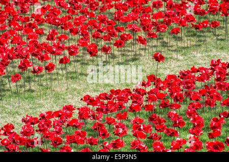 London, UK. 4. August 2014. Blut Mehrfrequenzdarstellung Länder und Meere von Red von Paul Cummins. Last-Minute Vorbereitungen vor der offiziellen Eröffnung morgen. Keramik Mohn bilden ein Kunstwerk im Graben der Tower of London anlässlich die Hundertjahrfeier des ersten Weltkrieges. 4. August 2014. Bildnachweis: Guy Bell/Alamy Live-Nachrichten Stockfoto