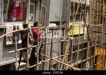 Hong Kong Arbeitskräfte binden Bambus zusammen, um ein Gerüst zu erstellen. Stockfoto