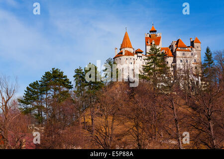 Blick auf das Schloss Bran vom Hügel in Siebenbürgen Stockfoto