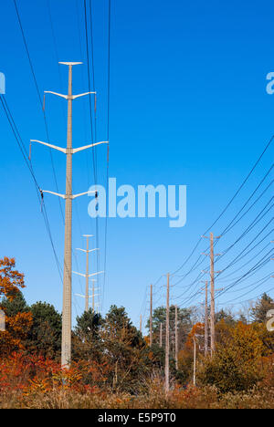 Zwei Linien der elektrischen Türme durch Wald. Stockfoto