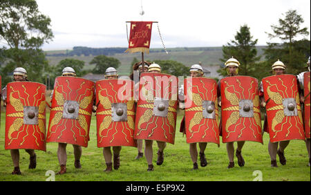 Eine Nachstellung des typischen römischen Waffen und Taktiken auf dem Gelände des Römerkastells Vindolanda in Northumberland, England gegeben. Stockfoto