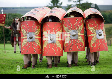 Eine Nachstellung des typischen römischen Waffen und Taktiken auf dem Gelände des Römerkastells Vindolanda in Northumberland, England gegeben. Stockfoto