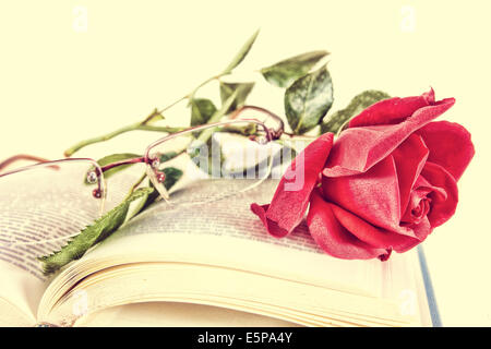 Aufgeschlagene Buch und die rote Rose mit Brille auf Seiten des Buches, romantischen alten Vintage-Look, Poesie-Konzept Stockfoto