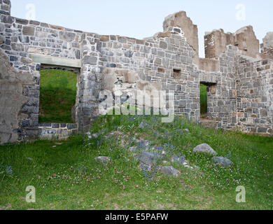 Überreste der Baracken am Fort Crown Point im Bundesstaat New York. Stockfoto