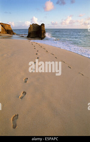 Fußabdrücke auf Strand von Sint Maarten, Caribbean Stockfoto