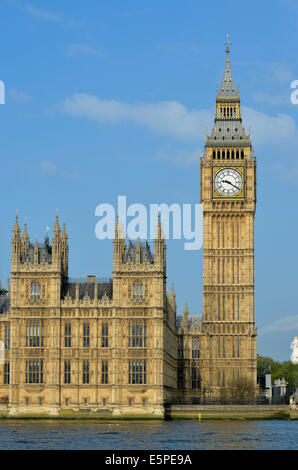 Big Ben oder Elizabeth Tower und der Palace of Westminster oder Häuser des Parlaments, UNESCO-Weltkulturerbe, London, England Stockfoto