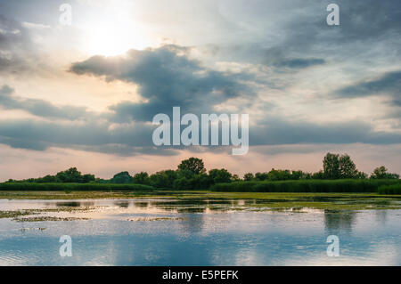 Sonnenuntergang am Theiß-See, Ungarn. Stockfoto