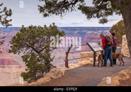 Paar mit Hunden Blick auf Information Board bei Hopi Point, Grand Canyon, Arizona, USA. Stockfoto