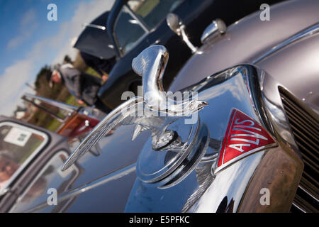 UK England, Dorset, Charmouth, Oldtimer, Adler Maskottchen auf Vorderseite des Jahrgangs Alvis Stockfoto