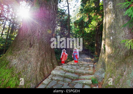 Pilger auf Daimon-Zaka Nachi Tokaido Pilgerweg, UNESCO-Weltkulturerbe, Wakayama Präfektur, Honshu, Japan, Asien Stockfoto