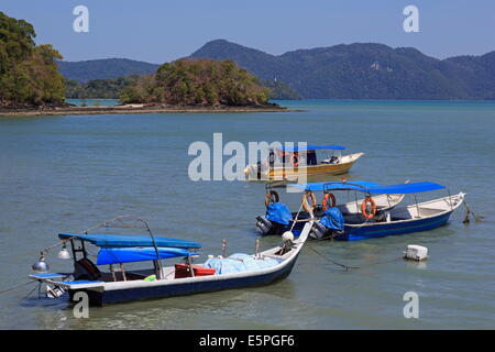 Angelboote/Fischerboote in Porto Malai, Chenang Stadt, Insel Langkawi, Malaysia, Südostasien, Asien Stockfoto