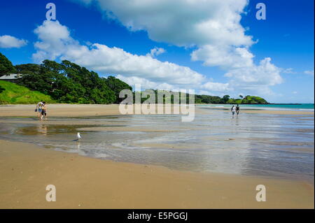 Menschen zu Fuß auf einem langen Sandstrand in der Nähe von Paihia, Bay of Islands, North Island, Neuseeland, Pazifik Stockfoto