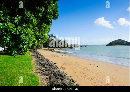 Paihia, Bay of Islands, North Island, Neuseeland, Pazifik Stockfoto