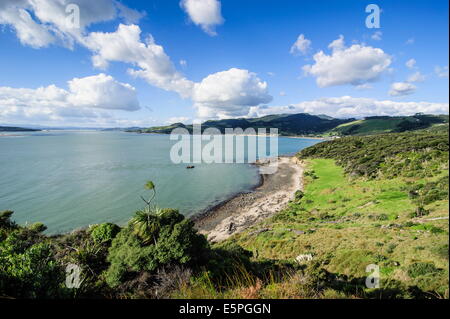 Ansicht der Arai-Te-Uru Erholung Reserve, Südende des Hokianga harbour, Northland, North Island, Neuseeland, Pazifik Stockfoto