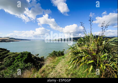 Ansicht der Arai-Te-Uru Erholung Reserve, Südende des Hokianga harbour, Northland, North Island, Neuseeland, Pazifik Stockfoto