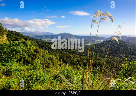 Blick über Berge von Karamea, West Coast, Südinsel, Neuseeland, Pazifik Stockfoto