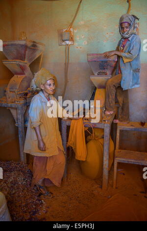 Frauen arbeiten in einer Berbere Paprika Gewürz Fabrik in der Medebar Markt, Asmara, Hauptstadt von Eritrea, Afrika Stockfoto