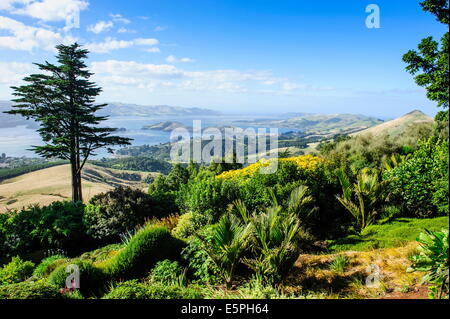 Blick vom Larnach Castle über die Otago Halbinsel, Südinsel, Neuseeland, Pazifik Stockfoto