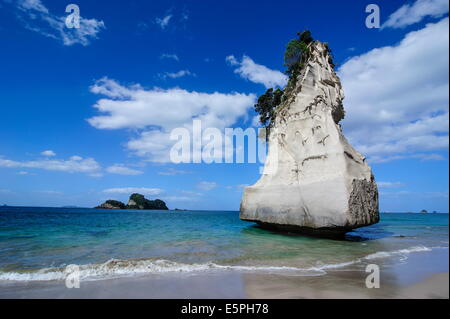 Riesige Felsen auf der sandigen Strand von Cathedral Cove, Coromandel, North Island, Neuseeland, Pazifik Stockfoto