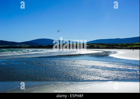 Te Waewae Bucht, entlang der Straße von Invercargill nach Te Anau, Südinsel, Neuseeland, Pazifik Stockfoto