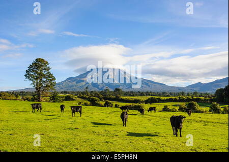 Mount Taranaki, Nordinsel, Neuseeland, Pazifik Stockfoto