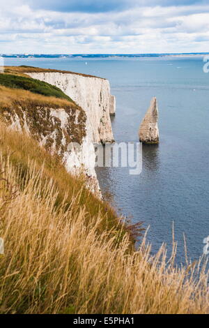 Kreide-Stacks und Klippen am Old Harry Rocks, zwischen Swanage und Purbeck, Dorset, Jurassic Coast, der UNESCO, England, UK Stockfoto