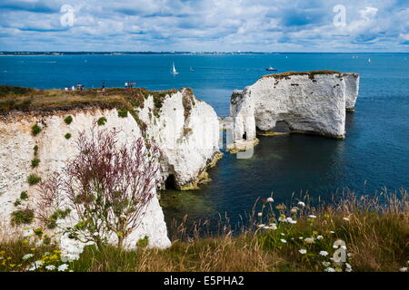 Kreide-Stacks und Klippen am Old Harry Rocks, zwischen Swanage und Purbeck, Dorset, Jurassic Coast, der UNESCO, England, UK Stockfoto