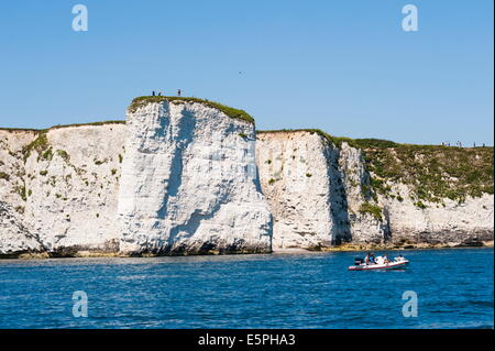 Kreide-Stacks und Klippen am Old Harry Rocks, zwischen Swanage und Purbeck, Dorset, Jurassic Coast, der UNESCO, England, UK Stockfoto