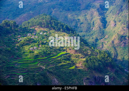 Blick vom Kiltepan-Turm über die Reisterrassen, Sagada, Luzon, Philippinen, Südostasien, Asien Stockfoto