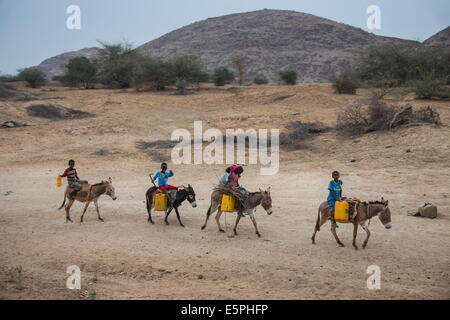 Kleine Kinder reiten auf Eseln zu einem Wasserloch im Flachland von Eritrea, Afrika Stockfoto