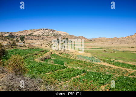 Berglandschaft entlang der Straße von Asmara nach Qohaito, Eritrea, Afrika Stockfoto