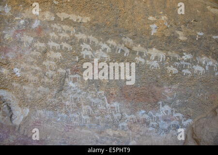 Uralte Felsmalereien in der Pre-Aksumite Siedlung von Qohaito, Eritrea, Afrika Stockfoto