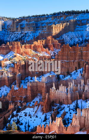 Hoodoos und verschneiten Felge Klippen von späten Nachmittagssonne beleuchtet, winter, in der Nähe von Sunrise Point, Bryce-Canyon-Nationalpark, Utah, USA Stockfoto