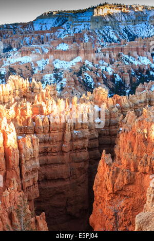 Hoodoos beleuchtet durch die späte Nachmittagssonne mit Schnee, von Rim Trail in der Nähe von Sunset Point, Bryce-Canyon-Nationalpark, Utah, USA Stockfoto