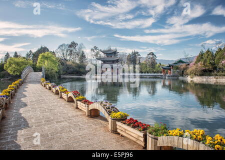 Mond umarmen Pavillon und Suocui Brücke bei Black Dragon Pool, Lijiang, Yunnan, China, Asien Stockfoto