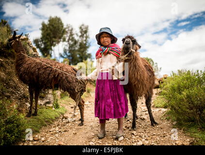 Porträt von Mariel mit ihren zwei Lamas, Isla del Sol, Titicacasee, Bolivien, Südamerika Stockfoto