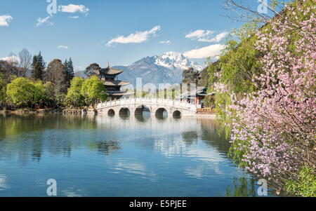 Mond umarmen Pavillon und Suocui Brücke bei Black Dragon Pool in Jade Spring Park, Lijiang, Yunnan, China, Asien Stockfoto