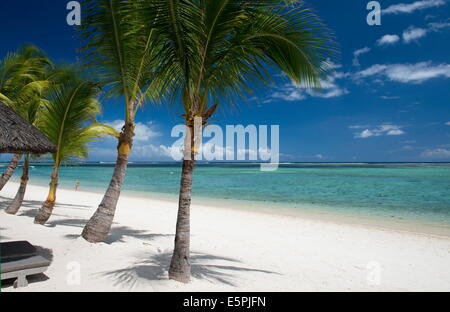 Palmen und einem weißen Sandstrand in der Nähe der Lux le Morne Hotels am Le Morne Halbinsel, Mauritius, Indischer Ozean, Afrika Stockfoto