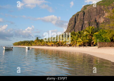 Späten Nachmittag Reflexionen der Le Morne Brabant und Palmen im Meer, Le Morne Brabant Halbinsel, Süd-west-Mauritius Stockfoto