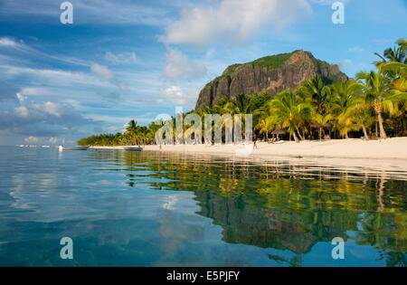 Späten Nachmittag Reflexionen der Le Morne Brabant und Palmen im Meer, Le Morne Brabant Halbinsel, Süd-west-Mauritius Stockfoto