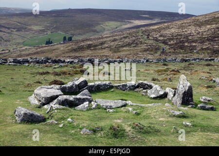 Ruinen der frühen Bronzezeit Haus, ca. 3500 Jahre alt, Grimspound, Dartmoor National Park, Devon, England, Vereinigtes Königreich Stockfoto