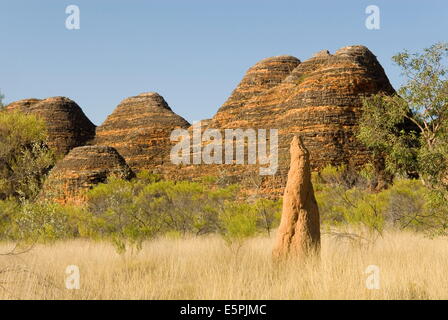 Sandstein Hügel und Termitenhügel in der Kuppeln, Purnululu National Park (Bungle Bungle), der UNESCO, Australien Stockfoto