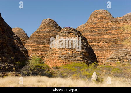 Sandstein Hügel im Bereich der Kuppeln des Purnululu National Park (Bungle Bungle), der UNESCO, Western Australia, Australien Stockfoto