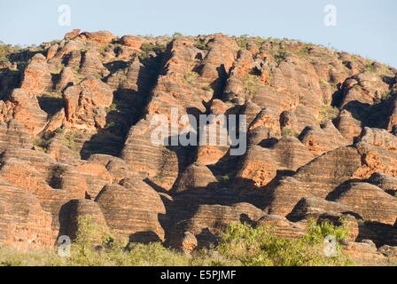 Sandstein Hügel im Bereich der Kuppeln des Purnululu National Park (Bungle Bungle), der UNESCO, Western Australia, Australien Stockfoto