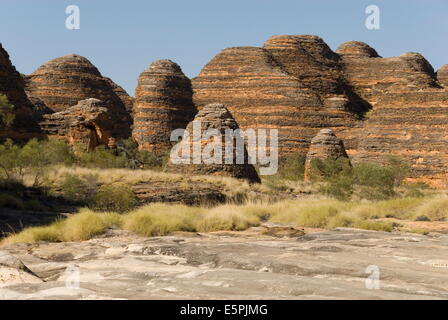 Sandstein Hügel im Bereich der Kuppeln des Purnululu National Park (Bungle Bungle), der UNESCO, Western Australia, Australien Stockfoto